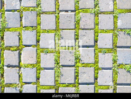 paving stone style with grass seamless pattern Stock Photo - Alamy