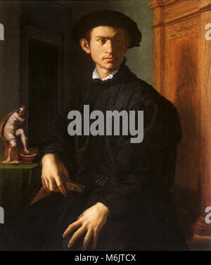 Portrait of a Young Man with a Lute, Bronzino, Agnolo, 1532. Stock Photo