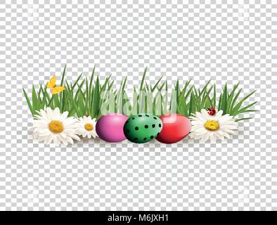 Happy Easter clip art for greeting card with colored bright dyed eggs  lying on green grass among chimomile flowers, butterfly, and lady bug isolated  Stock Vector