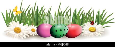 Happy Easter clip art for greeting card with colored bright dyed eggs  lying on green grass among chimomile flowers, butterfly, and lady bug isolated  Stock Vector