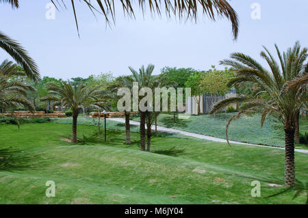 Green Park with Palms in Riyadh, Saudi Arabia on a Sunny Day Stock Photo