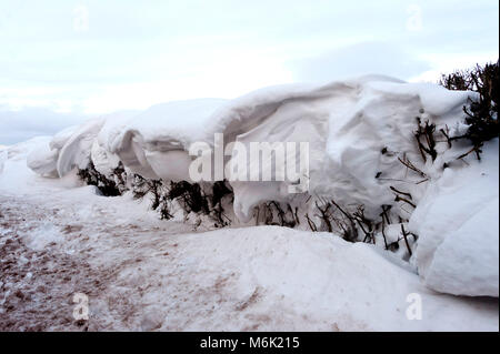 Brecon, Powys, UK. 4th Mar, 2018. Beautiful snow cornices adorn the hedges at Brecon in Powys, Wales, UK. after recent snowfalll and high wind from Storm Emma. Credit: Credit: Graham M. Lawrence/Alamy Live News Stock Photo