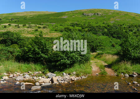 College Valley, Northumberland Cheviots, private trust area of outstanding natural beauty with controlled free access. The College Burn river. Stock Photo