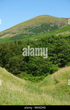 College Valley, Northumberland Cheviots, private trust area of outstanding natural beauty with controlled free access. Stock Photo