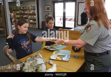 Junior rangers. Junior Rangers in the Mammoth Visitor Center; Stock Photo