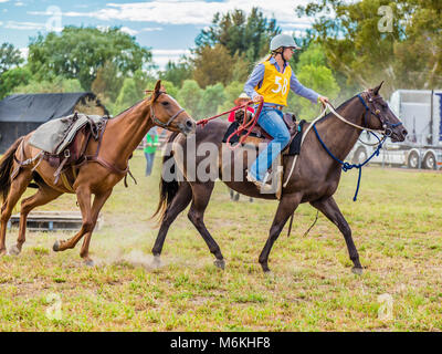 Rider leading a horse in the King of the Ranges Stockman's Challenge in Murrurundi, NSW, Australia, February 24, 2018. Stock Photo