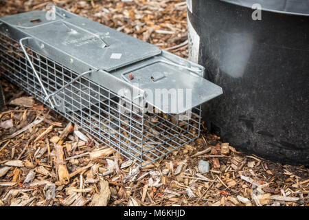 Live animal trap designed to trap small rodents such as moles, voles, rabbits, etc. so that they can be released somewhere else Stock Photo