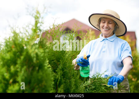 Senior Woman Watering Plants in Garden Stock Photo