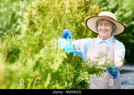 Happy Old Woman Watering Plants Stock Photo