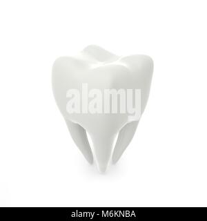 Dental model of a tooth (molar) isolated on a white background. 3D ...