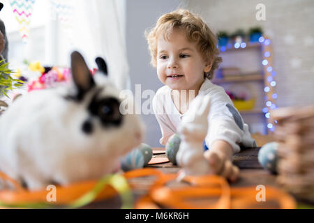 Little Boy Playing with Pet Bunny Stock Photo