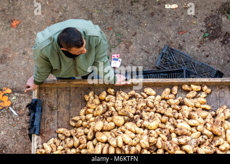 Ramallah, Palestine, January 12, 2011: A man selling fresh fruits and vegetable on a market in the centre of Ramallah. Stock Photo