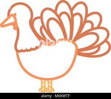 flat line colored turkey  thanksgiving over white  background vector illustration Stock Vector