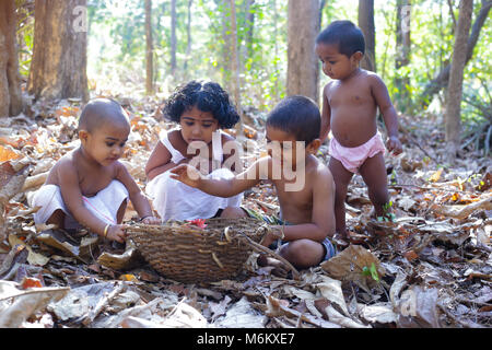 kerala village childhood Stock Photo