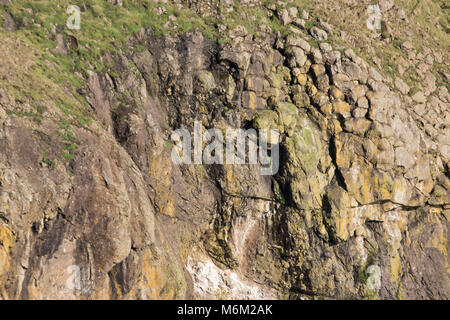 bright moss on multicolored rocks Stock Photo