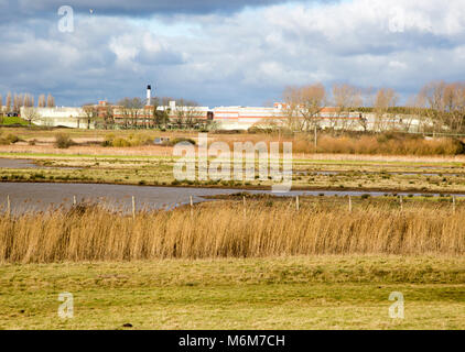 Wetland marshes landscape next to HMP Warren Hill prison, Hollesley Bay, Suffolk, England, UK Stock Photo