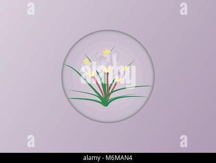 The bush of crocus. Spring delicate flowers Stock Vector
