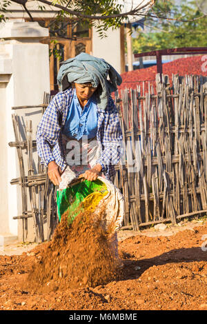 Villagers undertake manual road construction work at West Phwar Saw Village, Bagan, Myanmar (Burma), Asia in February - woman emptying materials Stock Photo