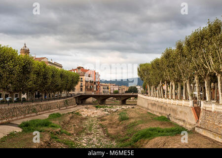 View of  La Bisbal d'Emporda and Plane tree lined Avenue 'Passeig Marimon Asprer' on the riverbank of Riu Daro, Baix Emporda, Catalonia, Spain Stock Photo