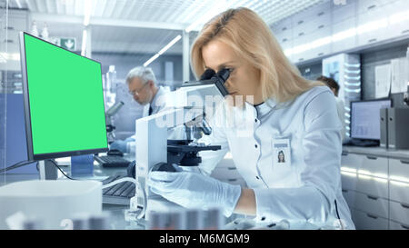 Female Research Scientist Looks at Biological Samples Under Microscope. She and Her Colleagues Work in a Big Modern Laboratory/ Medical Centre. Stock Photo