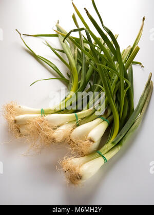 Vertical view of Bunches of green onions on a white background Stock Photo