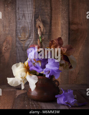 Irises  in clay pot against old wooden wall Stock Photo