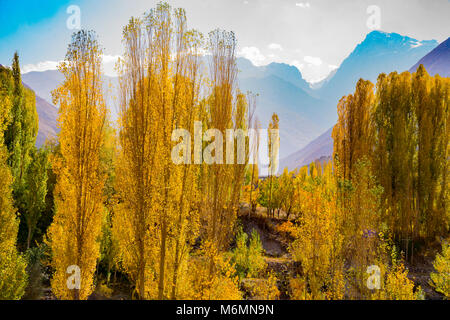 Poplar trees and peaks, Gissar Mountains in autumn, Tajikistan. Central Asia Stock Photo