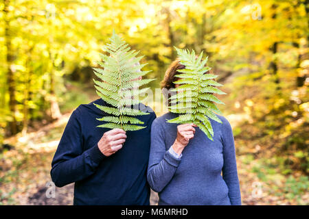 Senior couple on a walk in autumn forest. Stock Photo
