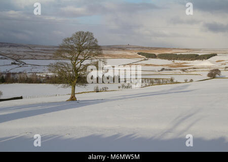 Coanwood, Northumberland,UK. 27th February 2018 A bitterly cold day in Northumberland as the UK is hit by cold weather.  Credit: H Athey/ Alamy Live N Stock Photo