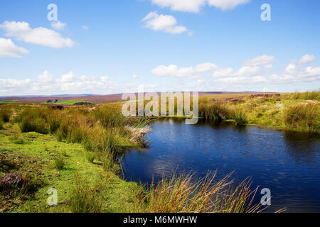 Kex Gill moor Blubberhouses showing colour of heather on the distant hills and a moorland pond in the foreground and blue skies overhead. Stock Photo