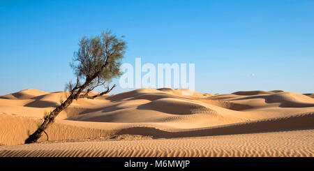 Sand dunes in the desert of Sahara, South Tunisia Stock Photo