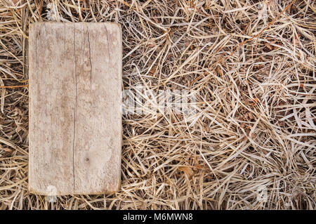 Mock up is wooden plaque on the background of a dry autumn grass. Layout for writing message text and adding items Stock Photo