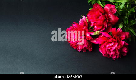 Red peony flowers bouquet on dark background