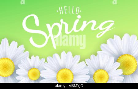 Hello spring phrase. Seasonal background. Camomiles flowers on a green background. Vector illustration. EPS 10 Stock Vector