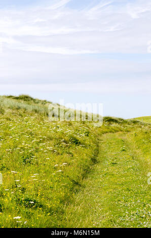 Grassy path wandering through the grass-covered sand dunes, disappearing into a blue sky horizon Stock Photo