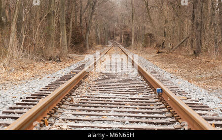 A low level view of straignt and narrow RR tracks curve a long way down the tracks during this bleak winter view. Stock Photo