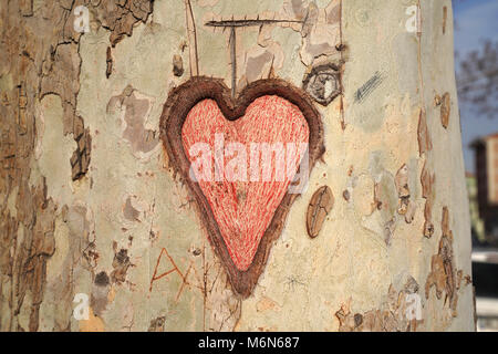 Heart carved in tree trunk Stock Photo