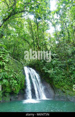 Crayfish Waterfall or La Cascade aux Ecrevisses, at the National Park of the french caribbean island Guadeloupe, West Indies. Stock Photo