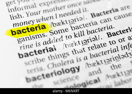 Highlighted English word 'bacteria' and its definition in the dictionary. Stock Photo