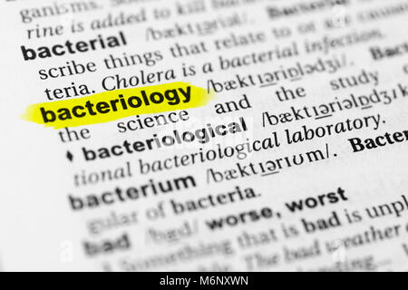 Highlighted English word 'bacteriology' and its definition in the dictionary. Stock Photo