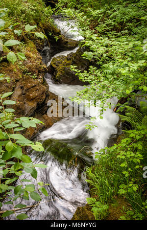 The River Lyd cascading down stepped waterfalls at Lydford Gorge near Okehampton in Devon UK Stock Photo