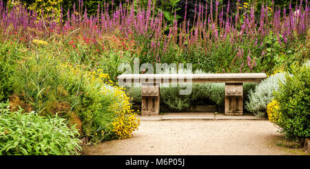 Stone bench in the exuberantly planted kitchen garden of Hardwick Hall in Derbyshire UK Stock Photo