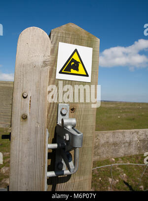 Modern Beware of the Bull warning symbol on a stile gate in the Cotswolds UK Stock Photo