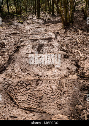 Muddy steps through a wildlife reserve in the Mendip Hills Somerset with a variety of footprints made by walkers Stock Photo