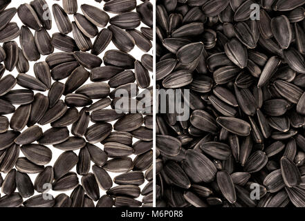 Black sunflower seeds. For texture or background Stock Photo