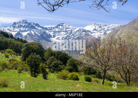 Sierra Nevada. Mulhacen, 3.478,6 m, the highest mountain in the Iberian Peninsula, La Alcazaba, 3.371 m (left ) and La Caldera, 3.226 m (right) peaks  Stock Photo