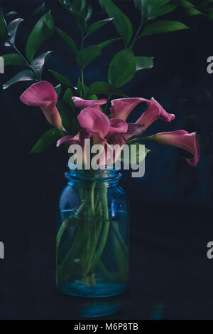 A bouquet of Calla lilies on a black background Stock Photo