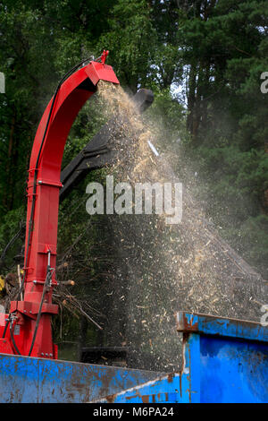 FOREST RESIDUES are tiled for energy recovery in the thermal plants 2010 Stock Photo