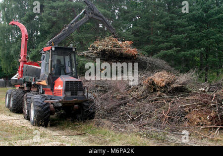 FOREST RESIDUES are tiled for energy recovery in the thermal plants 2010 Stock Photo