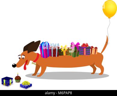 Cute dachshund with gifts on back and baloon on tail watching at gift box with cupcake nearby isolated on white background. Vector illustration, clip  Stock Vector